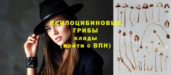 прущий лед Белокуриха
